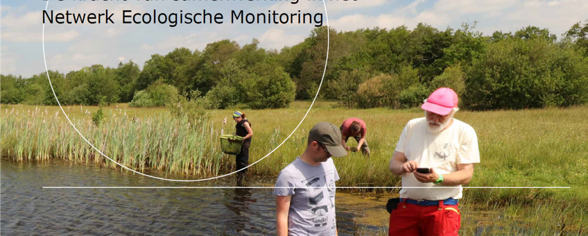 Meten wat er leeft - De kracht van samenwerking in het Netwerk Ecologische Monitoring