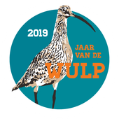 2019 was het Jaar van de Wulp