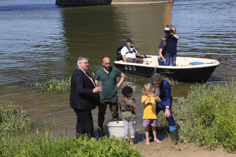 De zeldzame trekvissen werden te water gelaten door burgemeester Hubert Bruls van Nijmegen en Donné Slangen van het ministerie van Landbouw, Natuur en Voedselkwaliteit, daarbij geholpen door enkele kinderen