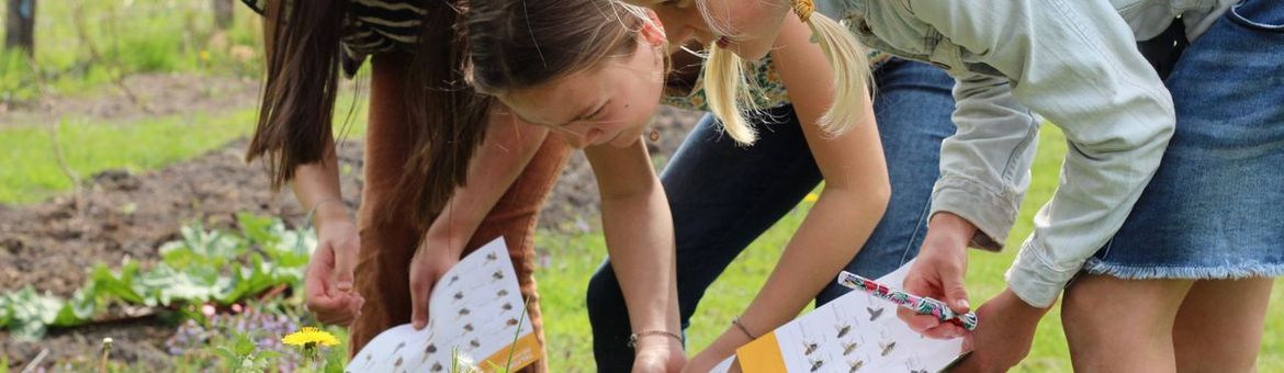 Nationale Bijentelling 2026: Iedereen kan tellen