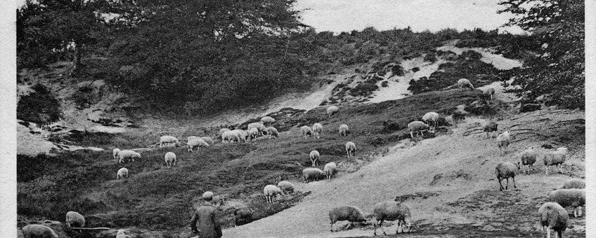 Gelders Archief (1514-01-1443/Wilhelm Reinier). Velp, Zijpenberg, 1921-1930