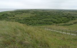 uitzicht op de duinen van ‘t Oerd vanaf een uitkijkpunt aan de westkant van het duingebied