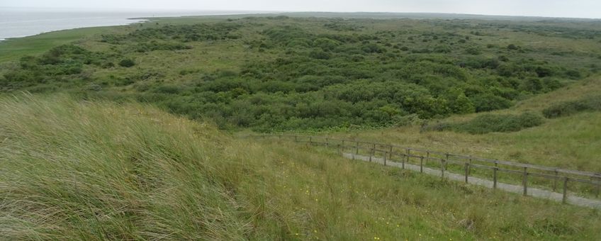 uitzicht op de duinen van ‘t Oerd vanaf een uitkijkpunt aan de westkant van het duingebied