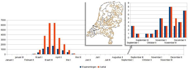 Vliegtijd van tweestreepvoorjaarsuil, met inzetjes: verspreiding en waarnemingen september - december