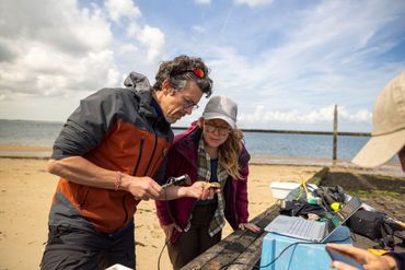 ARK-team doet onderzoek naar uitgezette jonge oesters
