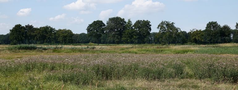 De hydrozone op Schokland waar Melchior zoveel vlinders telde