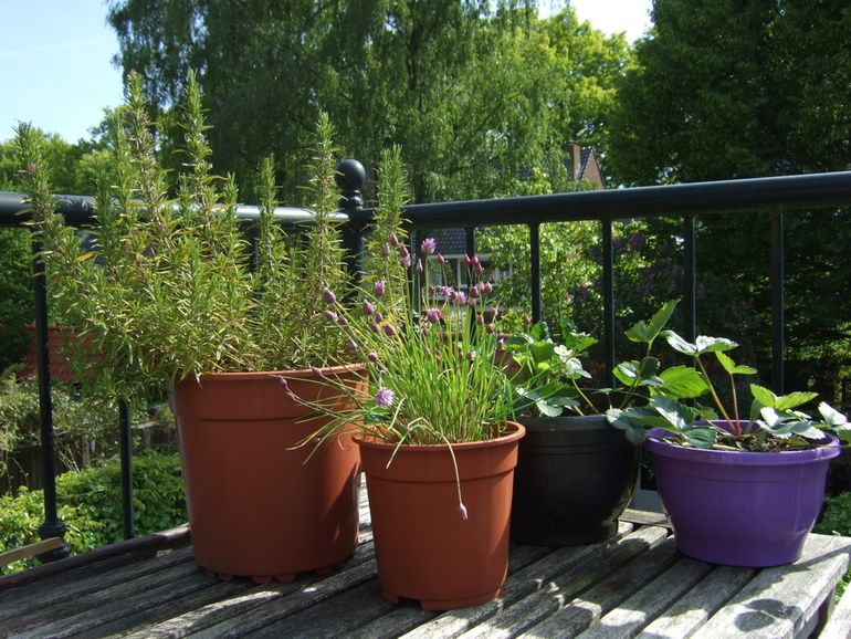 Een paar bloempotten maken een balkon direct gezellig