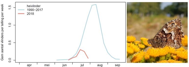 De aantallen heivlinders in de routes (voorlopige resultaten)