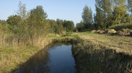 Waterkwaliteit Waalwijk, Labbegat