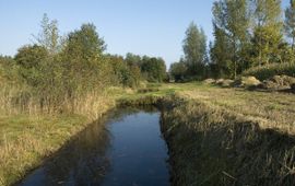 Waterkwaliteit Waalwijk, Labbegat