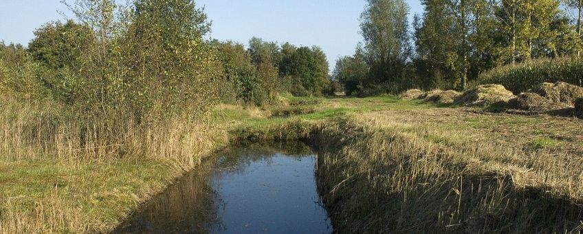 Waterkwaliteit Waalwijk, Labbegat
