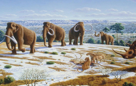 De afbeelding toont een laat-Pleistoceen landschap met wolharige mammoeten, paardachtigen, een wolharige neushoorn en Europese holenleeuwen met een rendierkarkas.