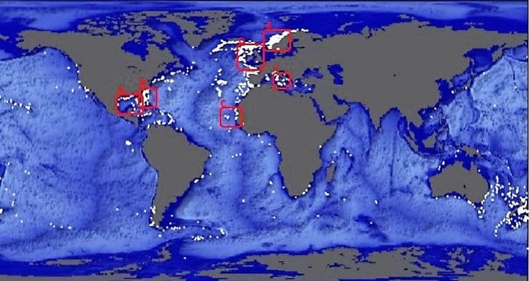 Global occurrence of cold water coral communities (white dots) based on the data base of the United Nations Environment Programme (UNEP)