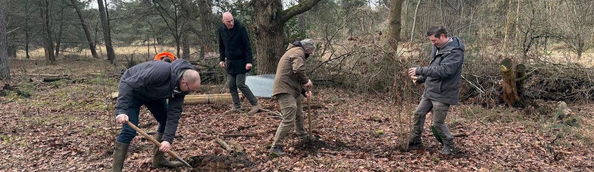 Op 23 februari werden de laatste van de 9.000 nieuwe boompjes geplant - met o.a. wethouder Peter Bakker (midden) en links en rechts Bosgroepers Hans van Lommel en Jos Kerssemakers