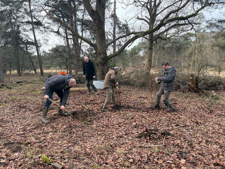 Op 23 februari werden de laatste van de 9.000 nieuwe boompjes geplant, met onder anderen wethouder Peter Bakker (midden) en links en rechts Bosgroepers Hans van Lommel en Jos Kerssemakers