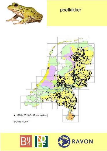 Verspreiding poelkikker