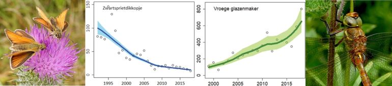 Door meetnetten kun je voor- en achteruitgang bepalen: hier zwartsprietdikkopje (links) en vroege glazenmaker (rechts