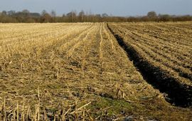 maisakker Brabant