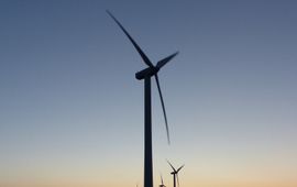 Erik Korsten Vaak blijven de resultaten van vleermuisonderzoek bij windturbines geheim.