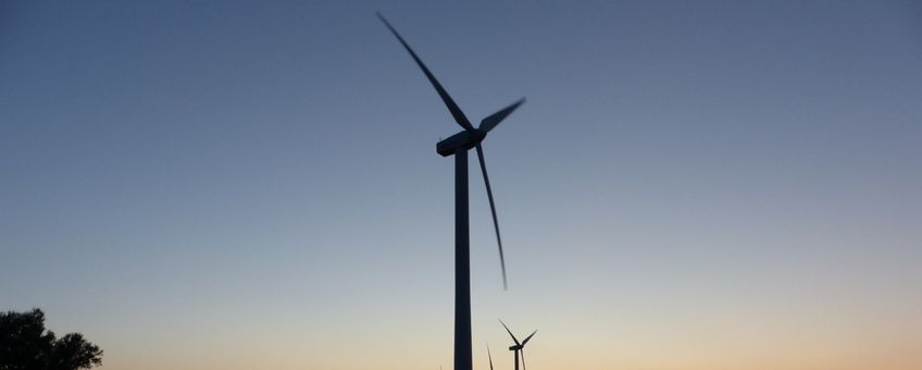 Vaak blijven de resultaten van vleermuisonderzoek bij windturbines geheim.