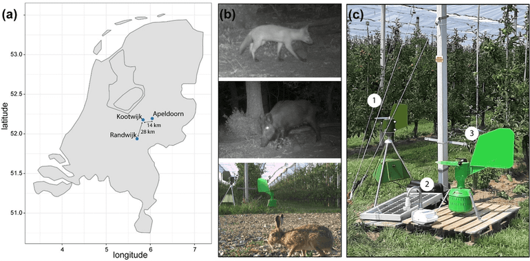 Study setup: (a) the three sampling locations, showing Proeftuin Randwijk (orchard), Radio Kootwijk (forest), and Apeldoorn (solar park). (b) Images from the camera traps showing, from top to bottom, a fox at Apeldoorn, a wild boar at Radio Kootwijk, and a hare at Randwijk, all of which were also detected via the air filters. (c) The three air samplers used, which are commercially available