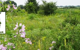 Podcast toekomst voor natuur - primair