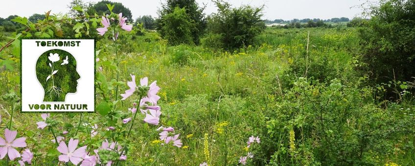 Podcast toekomst voor natuur - primair