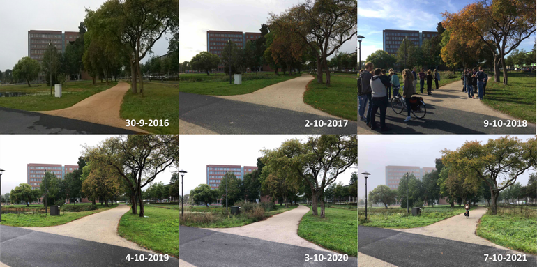 Verschil in mate van bladverkleuring en bladval van verschillende boomsoorten op de campus van Wageningen University rond begin oktober in de jaren 2017 tot en met 2021