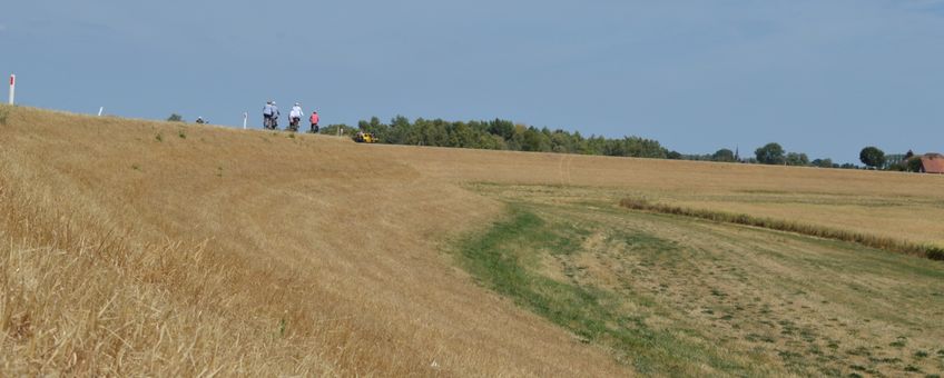 Verdroogd dijktalud in rivierengebied