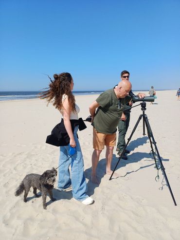 Met de hond op het strand