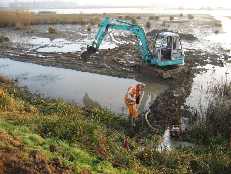 Verwijderen van kleine waterteunisbloem in de Biesbosch