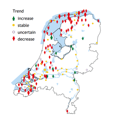 Trends van overwinterende slechtvalken verspreid over Nederland in de periode van 2017-2018 tot 2022-2023 gebaseerd op het Meetnet Watervogels