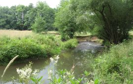 VOOR EENMALIG GEBRUIK
Landschap met water