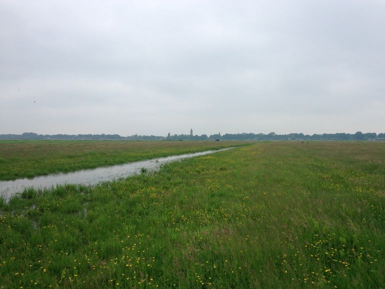 Bij een greppel-plasdras wordt de greppel afgesloten, waardoor rond de greppel een plasdrassituatie ontstaat