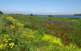 Bloemrijk Tiengemeten