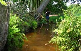 Romeo Neuteboom Spijker Rode beek