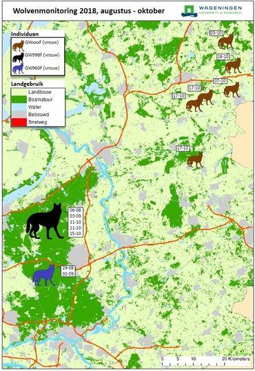 Op basis van DNA vastgestelde locaties waar de drie wolven zijn aangetroffen. Per individu en locatie is de vinddatum (dag-maand) weergegeven