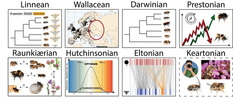 The different knowledge gaps (shortfalls and impediments) quantified in the study. Gaps in species discovery (Linnean) distribution (Wallacean), evolutionary relationships (Darwinian), population trends (Prestonian), trait variation (Raunkiærian), environmental tolerances (Hutchinsonian), interactions (Eltonian) and availability of images (Keartonian)