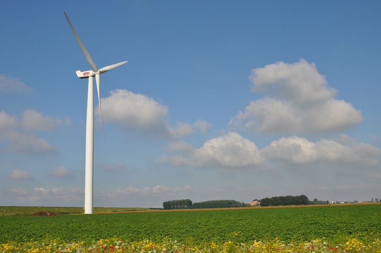 Windpark Herkingen