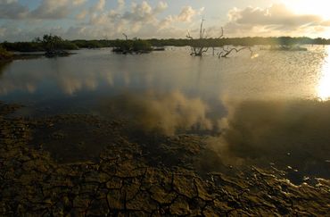 Backwaters van Lac Bay