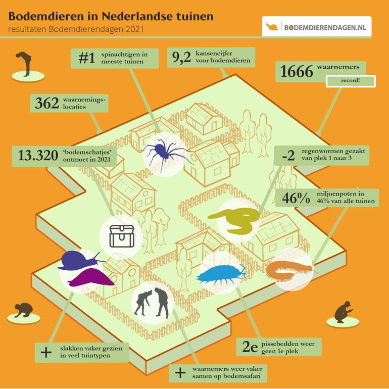 Infographic bodemdierendagen