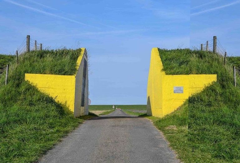Pilotproject 'Natuurrijke slaperdijken Groningen'