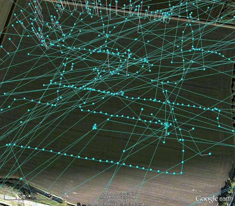 GPS-tracks van een jagende Grauwe Kiekendief, die zichtbaar de spuitsporen volgt.