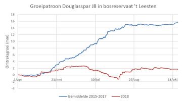 De omtrekgroei van de douglasspar in het bosreservaat ‘t Leest. De blauwe lijn geeft de gemiddelde omtrekgroei over de periode 2015-2017, de rode lijn de omtrekgroei in 2018. De totale groei in 2018 ligt significant lager dan in de drie voorgaande jaren