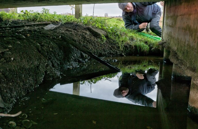 Hans Blom zoekt naar de otter in het gebied nabij Vinkeveen