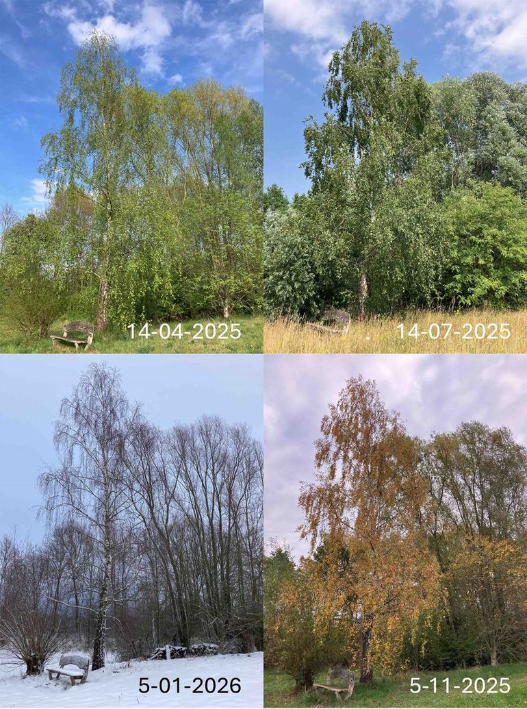 Berk in de Lumentuin