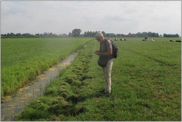 Veldwerker Jan Maassen