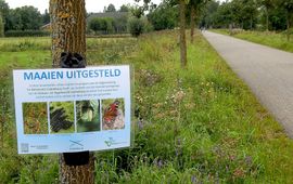 Kars Veling bordje uitgesteld maaien - primair