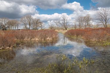 Gagelmoeras Empese en Tondense heide