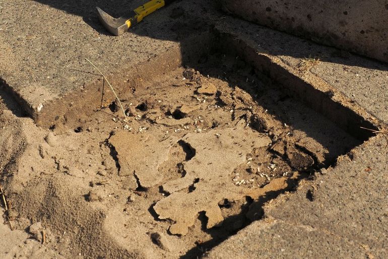 Effectieve bestrijding gebeurt diep in de grond